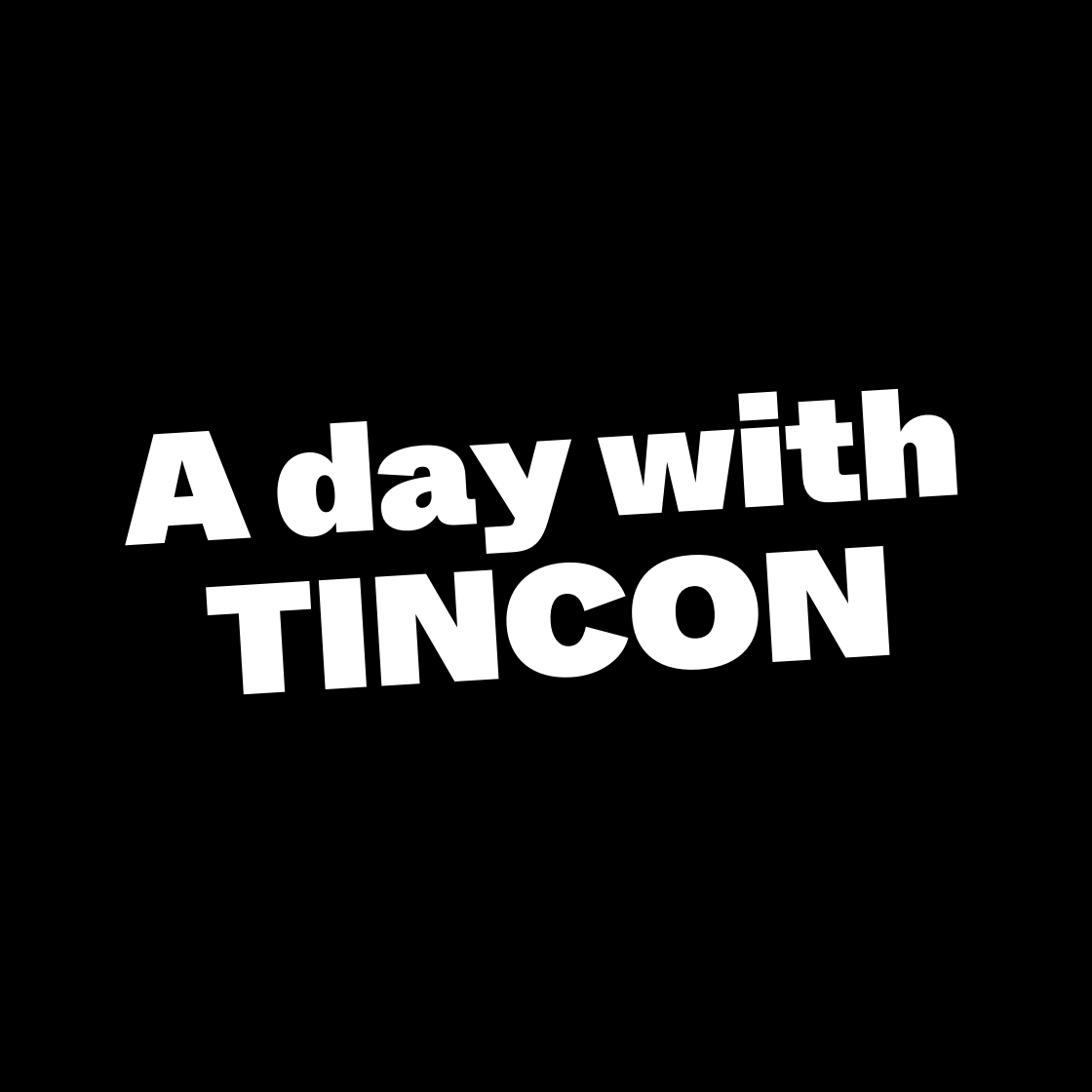 A day with TINCON