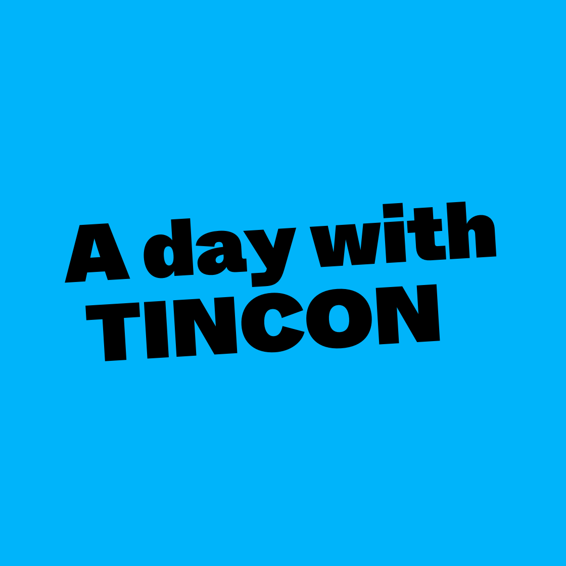 A day with TINCON